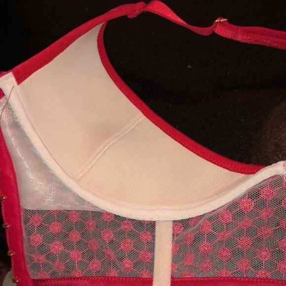 Beautiful Red Mesh And Embroidery Multiple Crisscross Back Straps Push-up Bra - Picture 9 of 10